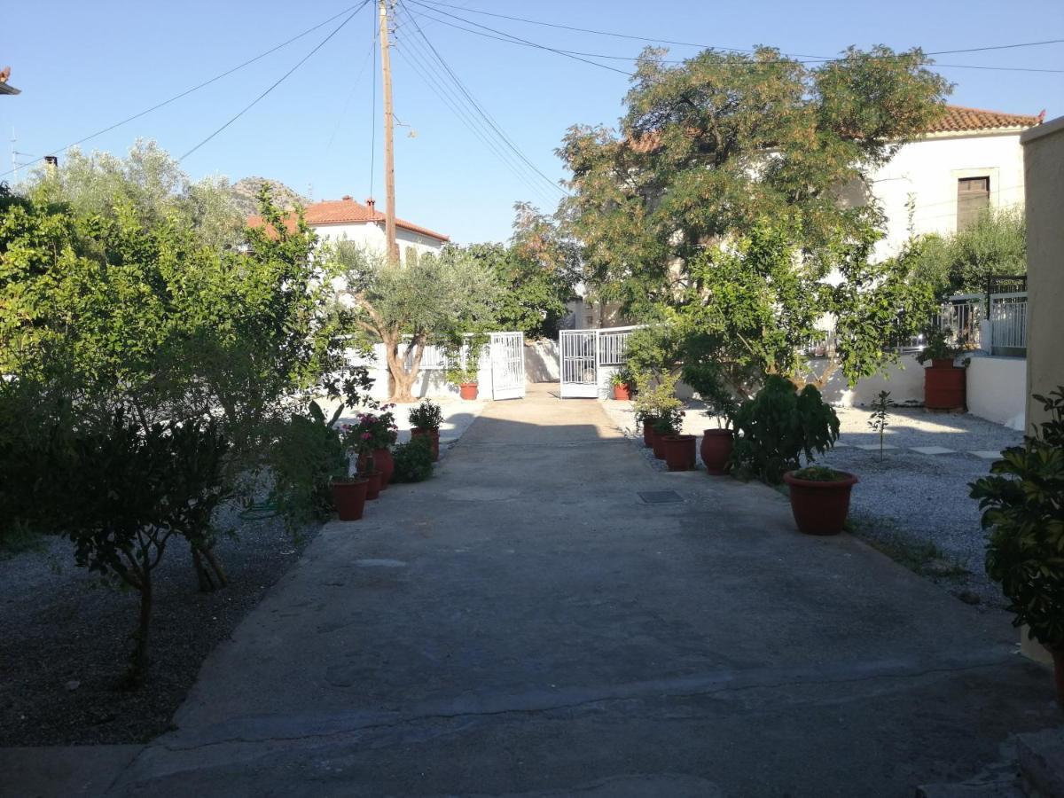 Sunny Cozy House With Grand Courtyard Apartman Leonídio Kültér fotó
